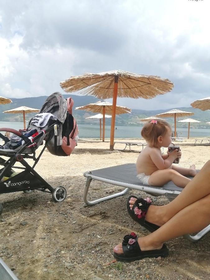 Nikas Apartman Donji Milanovac Dış mekan fotoğraf