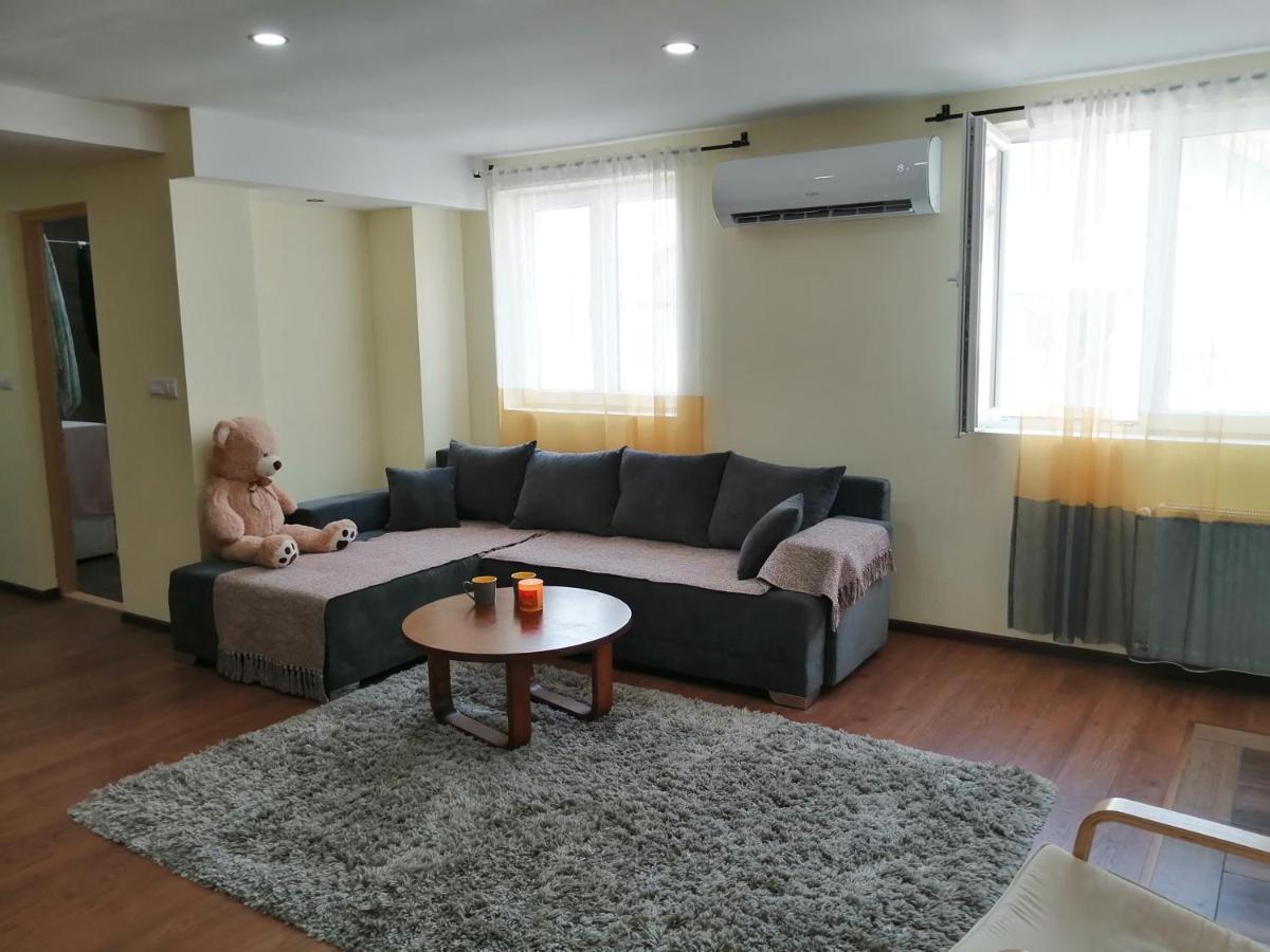 Nikas Apartman Donji Milanovac Dış mekan fotoğraf